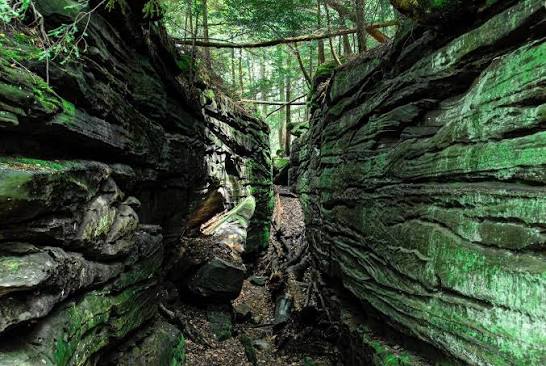 Geauga Park District